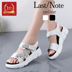 T_ fB[X  q[ T_  T_Xj[J[ XgbvT_ C y  gh ₷ X|[eB[ C 蕨 v[g s  