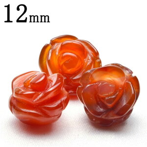 y1zJ[lA KNJbg@12mm@ ANZT[ _T400-12