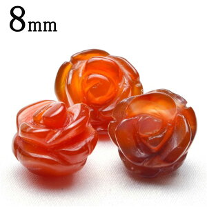 y1zJ[lA KNJbg@8mm@ ANZT[ _T400-8