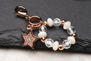 VR΃ANZT[`[(JjJt) }XNsAXɂ߁IsNS[hX^[C^Cv _PR3140-3