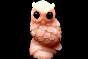 y55OFF!zy1_zNusJv sN^N(\[vXg[)@48x47x79mm@tNE u ANZT[ _CG2404 y}ւ̂݁z