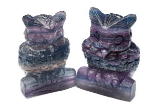 y20OFF!zCG[p[v t[Cg@35x24x50mm@tNE u 1 ANZT[ _CRG58 y}ւ̂݁z