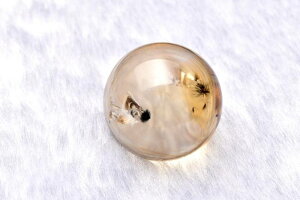 y1_z󏭁nCNA }lTCgCVg@17mm@ۋ(Ȃ) XtBA _PB3416