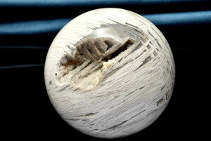 y1_zhD[W[ LVRX@59mm@ۋ(t) XtBA _CG6723y}ւ̂݁z