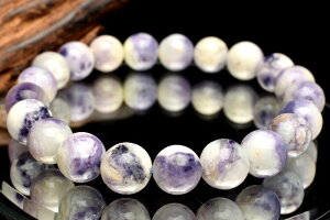 y1_z䆂₩ eBt@j[Xg[(Ip[t[Cg)@9.5mm uXbg ANZT[ _MC504