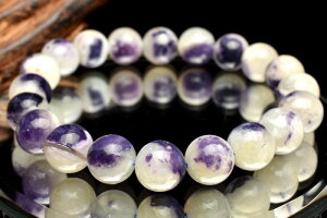 y1_z䆂₩ eBt@j[Xg[(Ip[t[Cg)@10mm uXbg ANZT[ _MC506