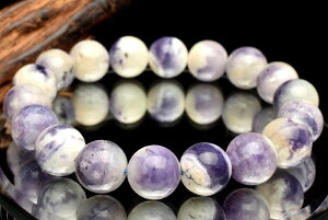 y1_z䆂₩ eBt@j[Xg[(Ip[t[Cg)@11.5mm uXbg ANZT[ _MC508