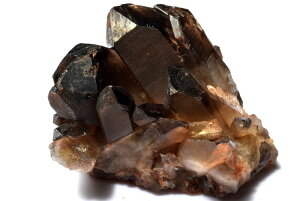 y1_z򉻂▂ I@109x81x58mm@NX^[  _CG6900y}ւ̂݁z