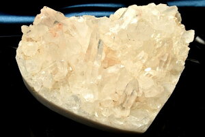 y1_z򉻂▂ NX^[@124x94x51mm@n[g  _CG6911y}ւ̂݁z