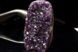 �y1�_���z�󏭁��E���O�A�C�Y �A���W�X�g�h�[���@65x81x105mm�@���� _CG6955�y��}�ւ̂݁z