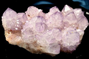 �y1�_���z��A�t���J�Y �T�{�e���A���W�X�g(�J�N�^�X�N�H�[�c)�@127x94x58mm�@�N���X�^�[ ���� _CG6987�y��}�ւ̂݁z