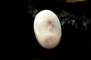 �y1�_���z�V�R���΁��V��͗l �g���\�i�C�g(����)�@15x10mm�@�I�[�o�� ���[�X �n���h���C�h _PD750