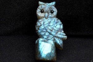 �y1�_���z���N���u�s��J�v ���u���h���C�g�@58x30x22mm�@�ӂ��낤 �u�� _C3723�y��}�ւ̂݁z