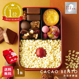 お菓子 スイーツ【公式】数量限定 レイカカオ「カカオ弁当」 レイカカオ ホワイトデー チョコレート 2024 スイーツ 専門店 バレンタイン お菓子 個包装 おしゃれ ギフト プレゼント かわいい 可愛い 面白いご褒美 おみやげ 贈りもの スイーツ 渋谷東急フードショー