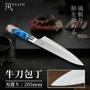 2000~OFFN[|zzIT_}XJX|  67w VG10 205mm vdl { Lb`iCt MtgɂœK [nk25c02]