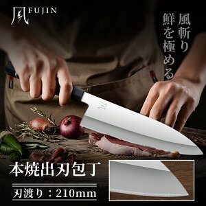 Ԍ聚15%OFFN[|IIyTtzn FUJIN {ďon 210mmbʎdグ V10| hp vdl a Jp n5mm nk25b03