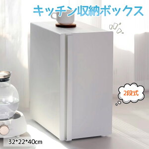 Lb`[{bNX 2i e Ȓ[ 32×22×40cm  ȃXy[X I HIドbN [