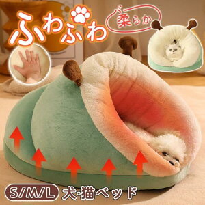 �y���T�t���z�y�b�g�x�b�h ���x�b�h �L�x�b�h �N�b�V���� �� �L �}�b�g �H �~ �g�� �����΍� ��� ���^ ���^ ��^ �����p �Q�� ����