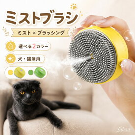ミストブラシ ペットブラシ 犬猫兼用 噴霧式 充電式 長毛 短毛対応 犬 猫 ブラッシング 抜け毛ケア ミスト機能付き 猫ブラシ 犬ブラシ 充電コード付き ペット用品