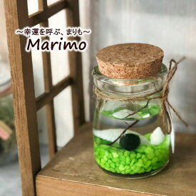 楽天市場 マリモ コルク蓋の通販
