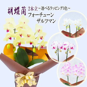 Mtg R`E 2{ tH[`[Uc} 4 Iׂ郉bsO Ӓ m m  Ε v[g