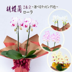 Mtg R`E 2{ [ 4 Iׂ郉bsO Ӓ m m  Ε v[g