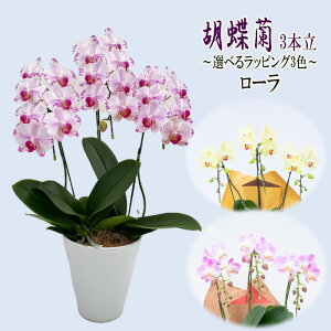 Mtg R`E 3{ [ 6 Iׂ郉bsO Ӓ m m  Ε v[g