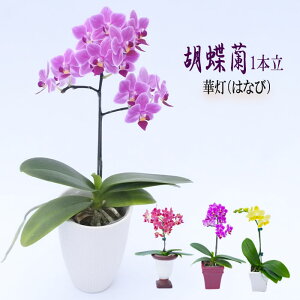 Mtg R`E 1{ ؓ 3 Ӓ m m  Ε v[g