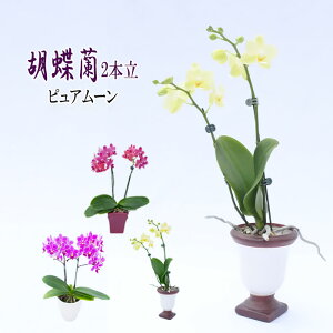 Mtg R`E 2{ sA[ 3 Ӓ m m  Ε v[g