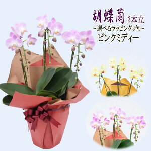 Mtg R`E 3{ sN~fB[ 6 Iׂ郉bsO Ӓ m m  Ε v[g