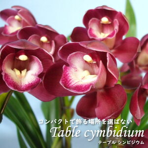 y\̔zmyԉtze[uVrWE CV[ 4 VrW[ m CeA sno 12{ȍ~