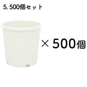 Ȏgł  A-25 2.5 Aؔ A CeA v vX`bN IV a25