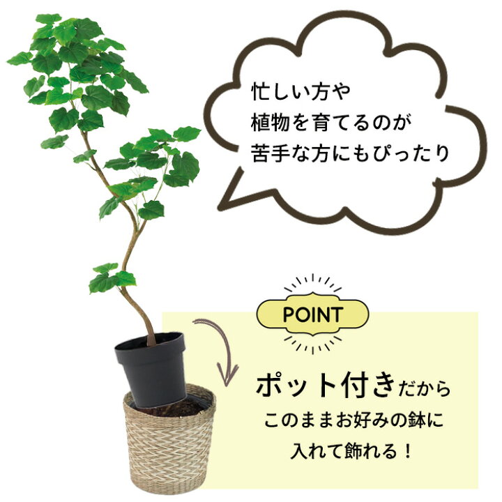 楽天市場】【メーカー直送】 フェイクグリーン ゴムの木 ポット付き 