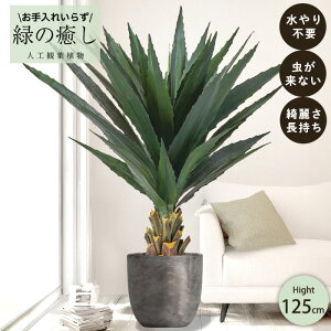 y[J[z tFCNO[ AKx |bgt 125cm ^   lHϗtA  Os acs