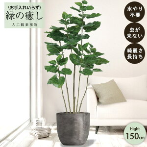 y[J[z tFCNO[ tBJX Ex[^ |bgt 150cm ^   lHϗtA  Os acs