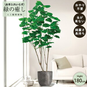 y[J[z tFCNO[ tBJX Ex[^ |bgt 180cm ^   lHϗtA Os acs