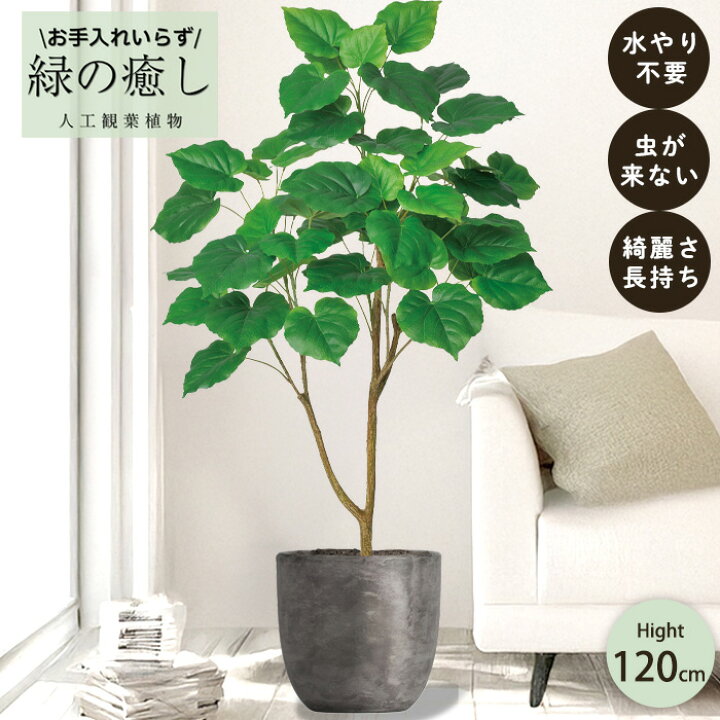 楽天市場】【メーカー直送】 フェイクグリーン フィカス ウンベラータ 