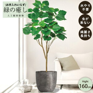 y[J[z tFCNO[ tBJX Ex[^ |bgt 160cm ^   lHϗtA  Os acs