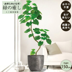 y[J[z tFCNO[ tBJX Ex[^ |bgt 150cm ^   lHϗtA  Os acs