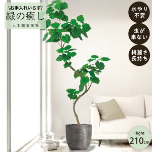 y[J[z tFCNO[ tBJX Ex[^ |bgt 210cm ^ gݗĎ   lHϗtA  Os acs