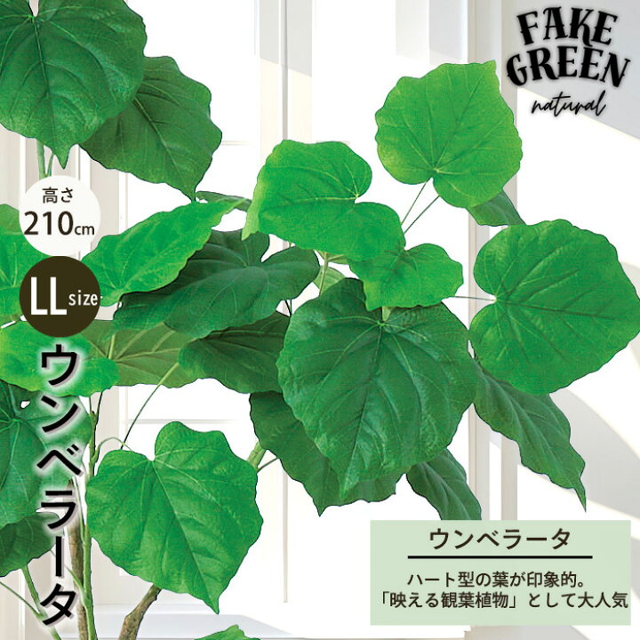 楽天市場】【メーカー直送】 フェイクグリーン フィカス ウンベラータ 