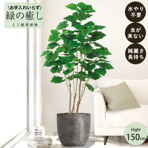 y[J[z tFCNO[ tBJX Ex[^ |bgt 150cm ^   lHϗtA  Os acs