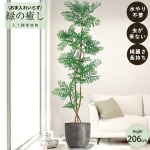 y[J[z tFCNO[ Go[tbV |bgt 206cm ^   lHϗtA Os acs