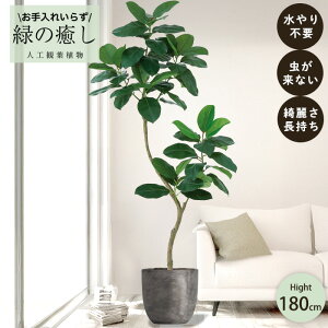 y[J[z tFCNO[ S̖ |bgt 180cm ^ gݗĎ   lHϗtA  Os acs