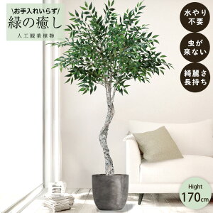 y[J[z tFCNO[ X}CbNXc[ |bgt 170cm ^   lHϗtA Os acs