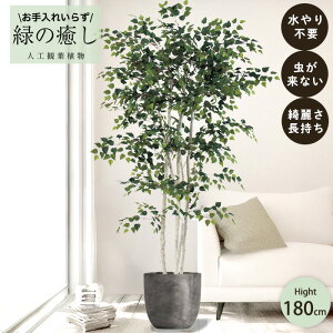 y[J[z tFCNO[ o[`c[ |bgt 180cm ^   lHϗtA Os acs