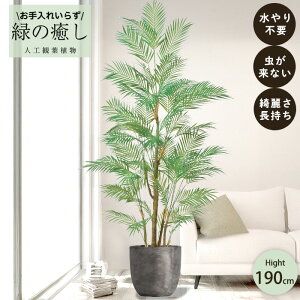 y[J[z tFCNO[ p[ |bgt 190cm ^   lHϗtA Os acs