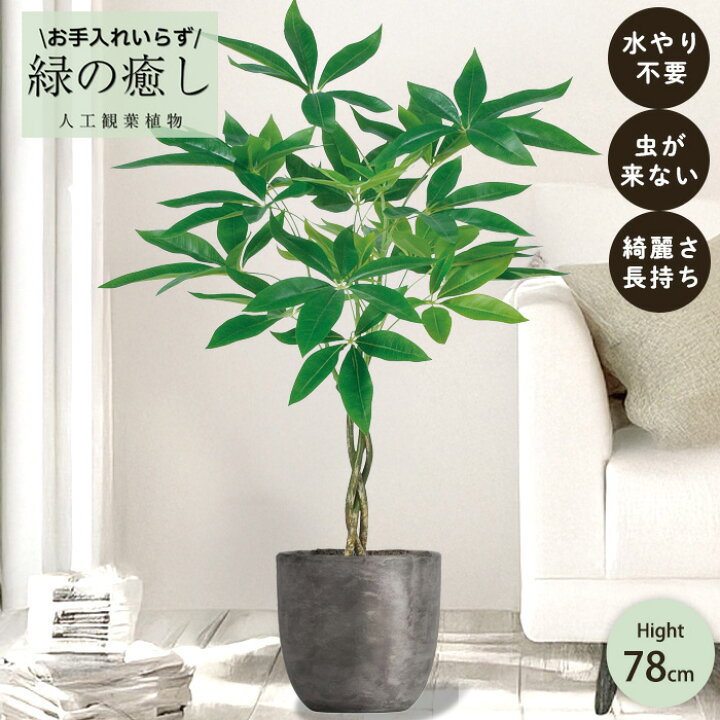 楽天市場】【メーカー直送】 フェイクグリーン パキラ ポット付き 74cm 