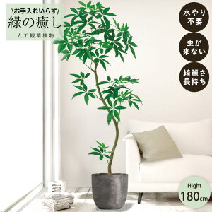 【メーカー直送】 フェイクグリーン パキラ ポット付き 180cm 大型 組み立て式 高級 室内 人工観葉植物 送料無料 屋外不可 acs