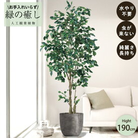 【メーカー直送】 フェイクグリーン ファイカスツリー ポット付き 190cm 大型 高級 室内 人工観葉植物 屋外不可 acs